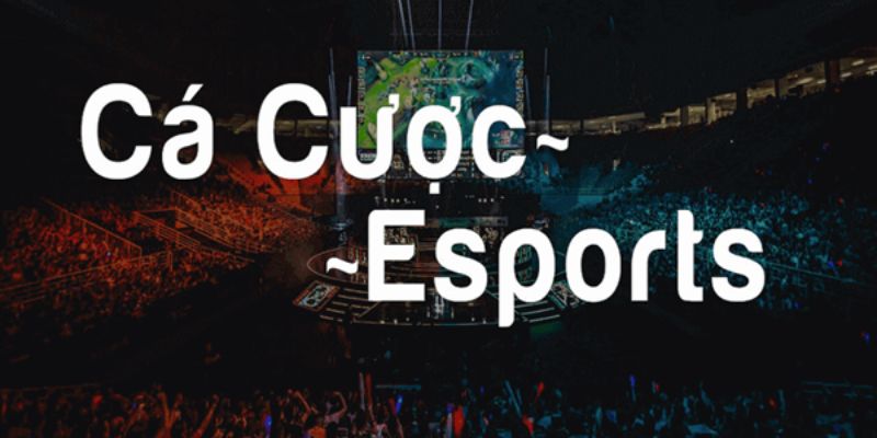 Cá Cược Thể Thao Điện Tử Ku3933 - Nơi Thỏa Mãn Đam Mê 1 Đôi nét về sảnh game Cá cược Thể thao điện tử ku3933